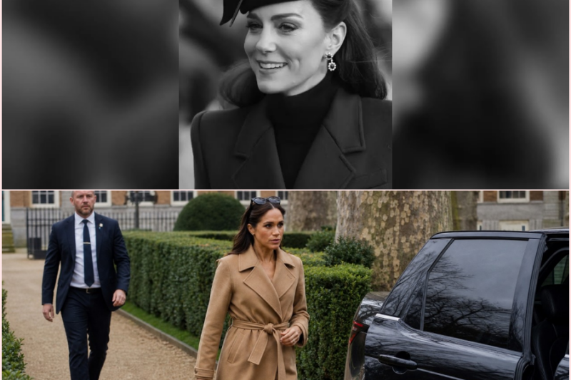 Meghan Was Briefed on Palace Protocol Four Times — She Asked for a Fifth Meeting and Left Early 