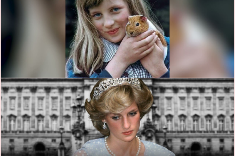 Diana Was Never the Woman Charles Chose 