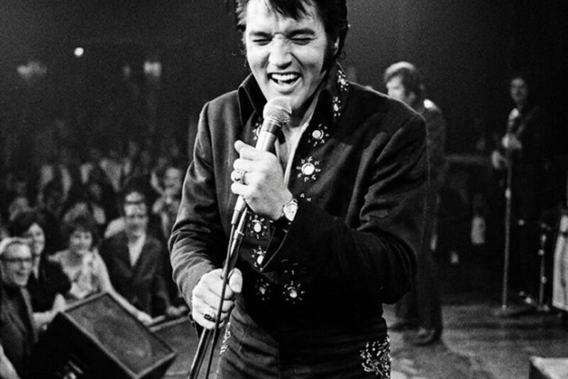 A Man Took Off His Toupee In The Front Row. What Elvis Said Next Destroyed 2,200 People. D