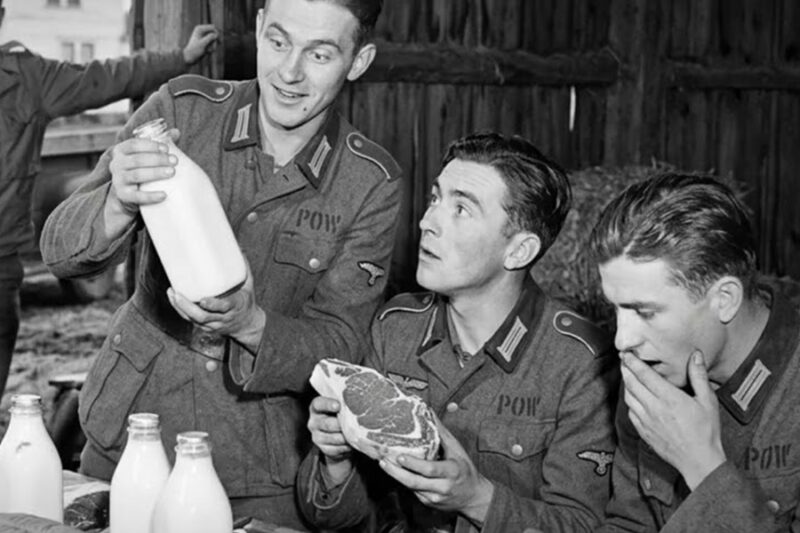 German Soldiers Found Fresh Milk and Meat in America — And Realized the War Was a Lie | WWII