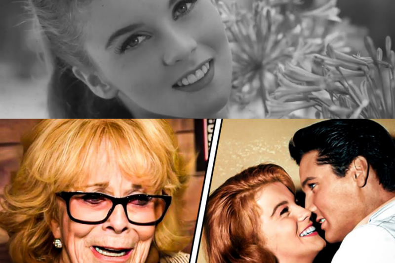 The Hidden Truth About Ann-Margret’s Affair with Elvis Presley