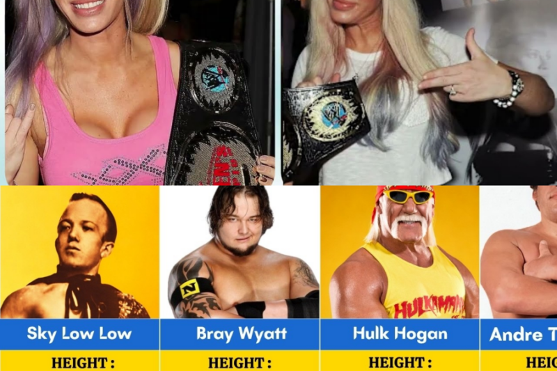 Shocking Heights of WWE Wrestlers Who Have Passed Away | Shortest to Tallest – Ty