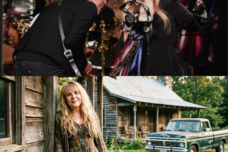 Stevie Nicks Is Now About 78, How She Lives Is Sad