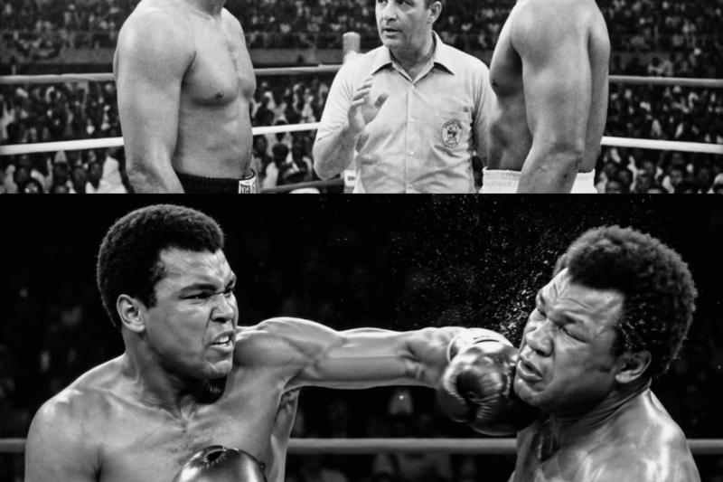 Everyone Said Muhammad Ali ‘Wouldn’t Survive’ — Then Muhammad Ali Did Something… Crowd Went Crazy JJ