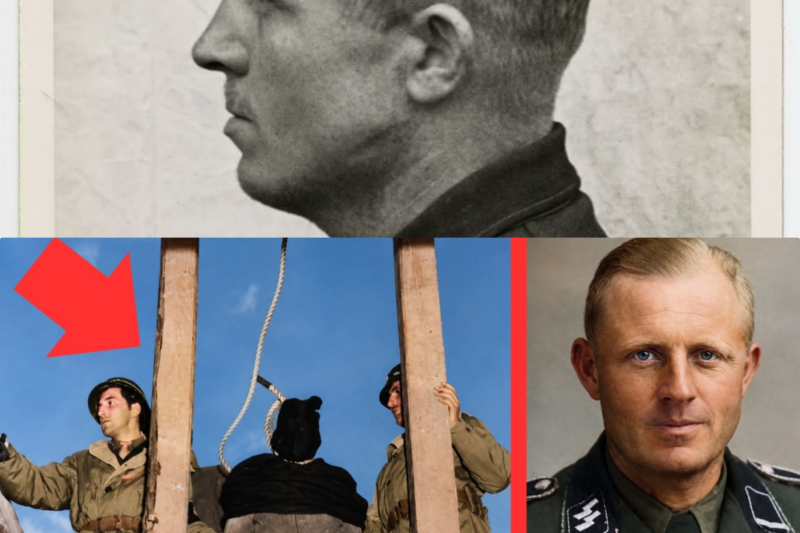 Why Was Otto Moll Executed After World War 2? JJ