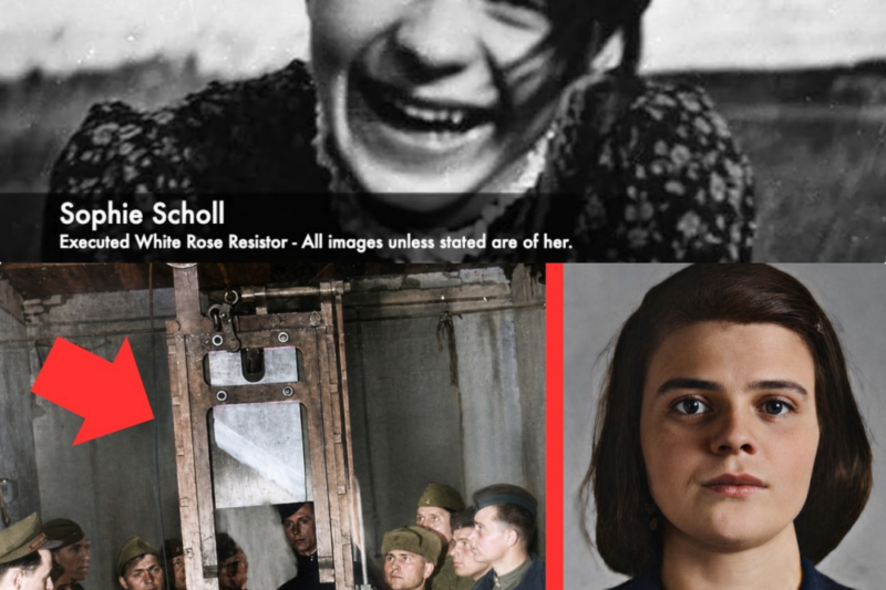 How The Guillotine Execution Of Sophie Scholl Happened JJ