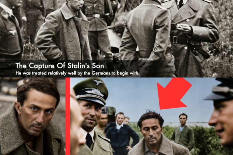The BRUTAL Execution Of Stalin’s Son JJ