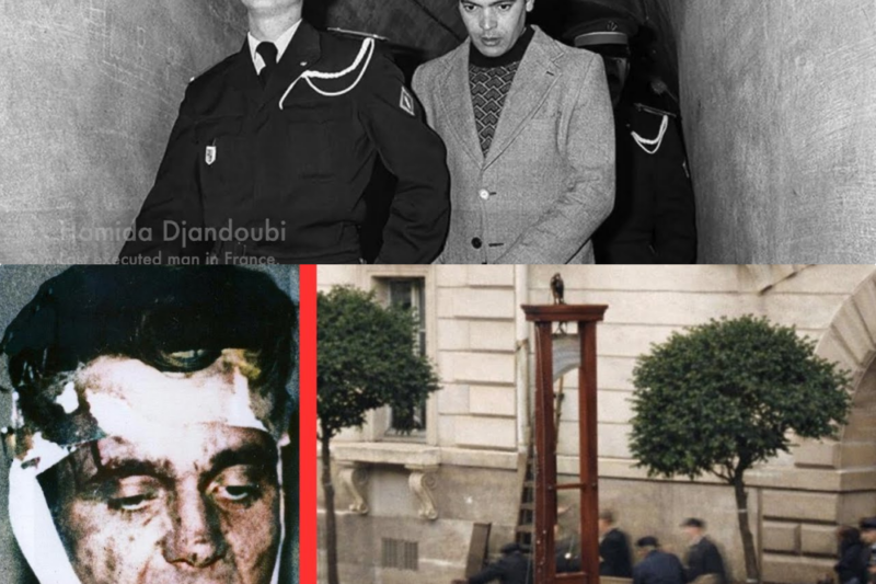 The Dark Reason Guillotine Execution Stopped In France JJ