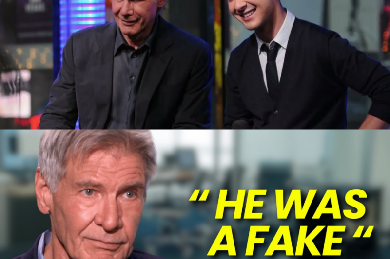 At 82, Harrison Ford Names The Six Actors He Hated The Most!