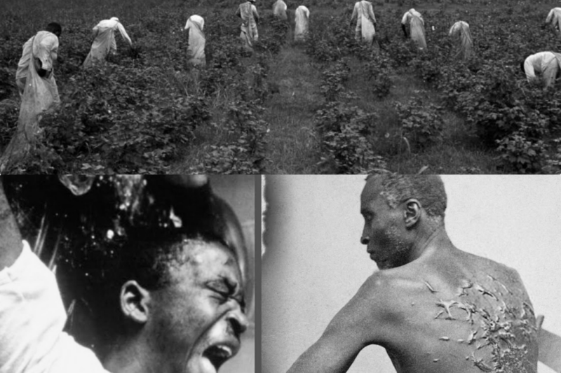 The HELL of Torture Methods Used on Cotton Plantations JJ