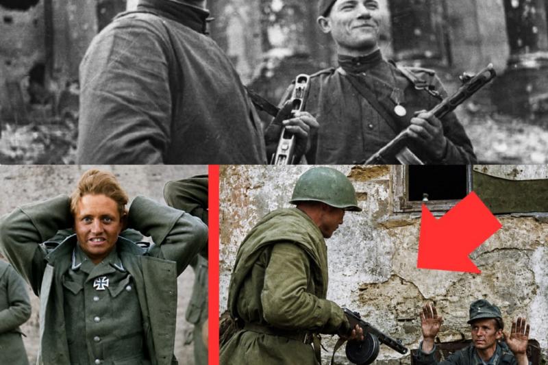 Why Germans Were Shot During The Battle Of Berlin JJ