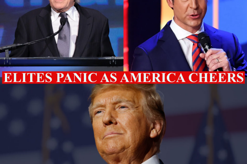 The Ultimate Split-Screen: A Tale of Two Americas as White House Spectacle Clashes with Celebrity Counter-Rally