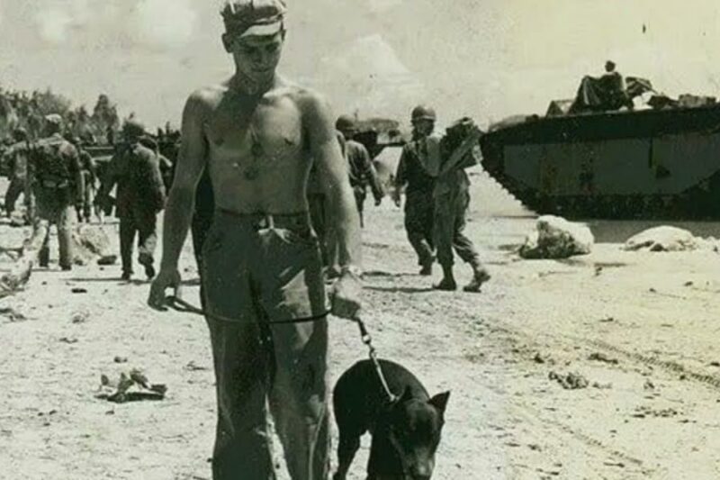 Why Japanese Snipers Were Ordered NEVER to Shoot the “Guy with the Dog”