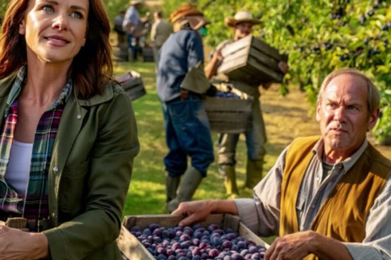 The Co-op Called Her Wild Plums Pig Feed — Then a Mead Maker Drove 10 Hours and Bought Them All