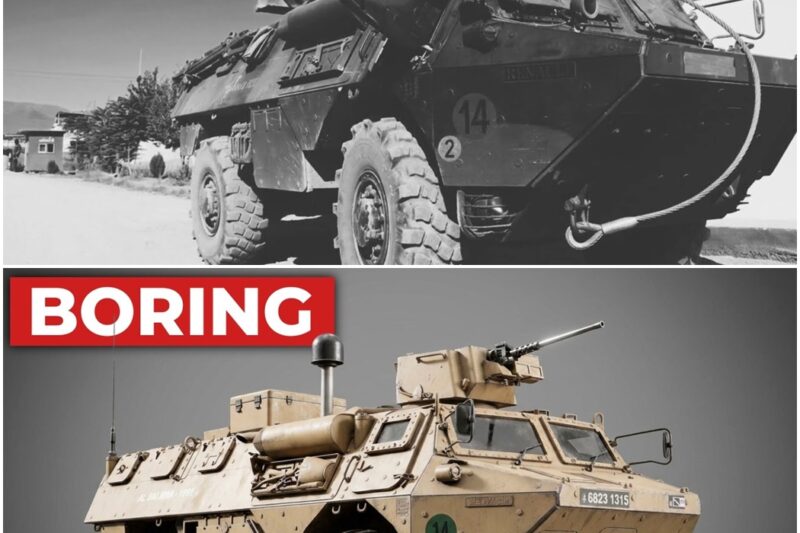 Why This ‘Boring’ French Armoured Carrier Became The Mule Of Fifteen Armies D
