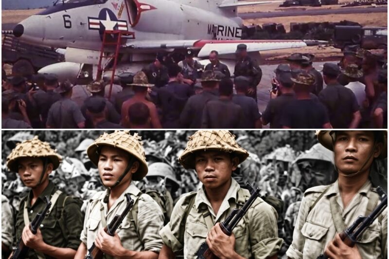 600 Viet Cong Followed One Patrol Into the Jungle… and Never Came Out D