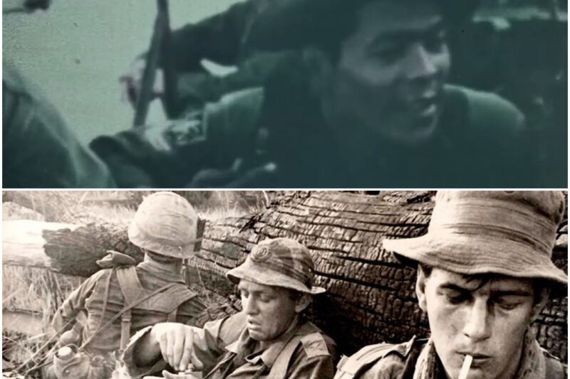 How Firebase Gold Became a Death Trap for the Viet Cong in 1967 D