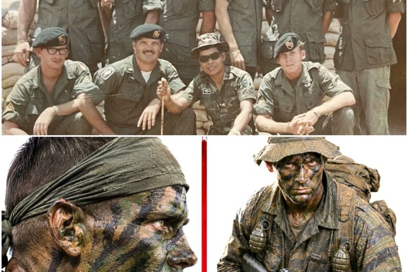 The HORRORS of LRRP Teams In Vietnam D