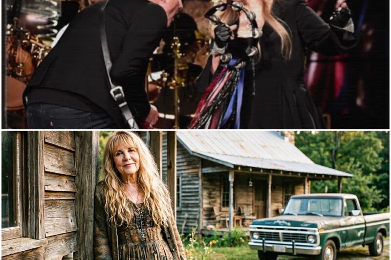 Stevie Nicks Is Now About 78, How She Lives Is Sad D
