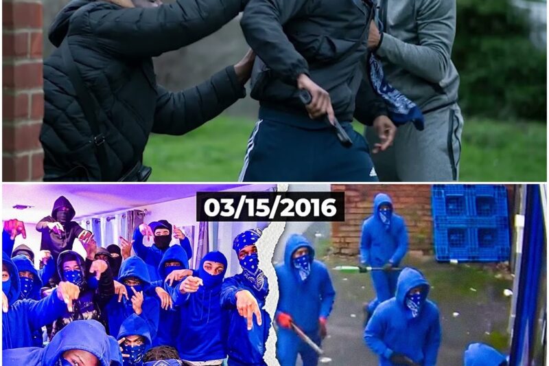 The Day San Diego Crips Went on a RAMPAGE Shooting Innocent People D