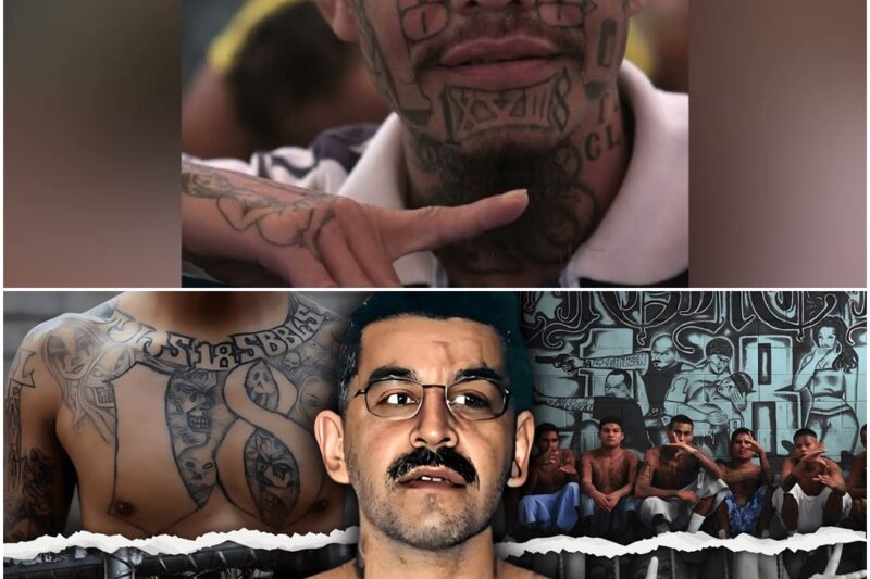 The Prison Puppet Master Who Controlled 18th Street From Supermax: Frank Martinez’s Story D