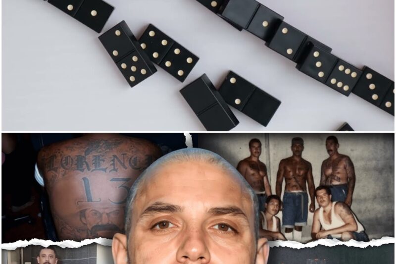 The F13 Shot-Caller Who K*lled His Own Gang Members & Got Caught By The FBI: Bizzy’s Story D