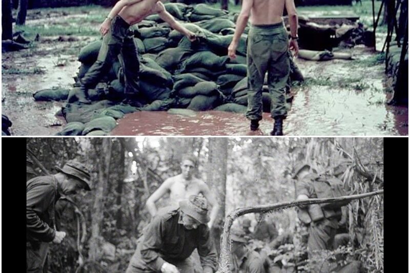 When An Australian Patrol Realized An American Unit Was Walking Into a TRAP D