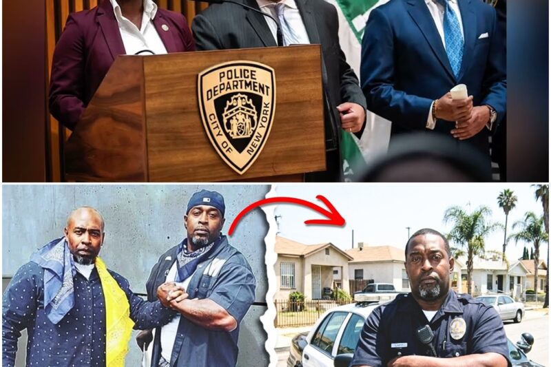The Gang That Held an ENTIRE Neighboorhood Hostage For YEARS | Valentine Avenue Crew D