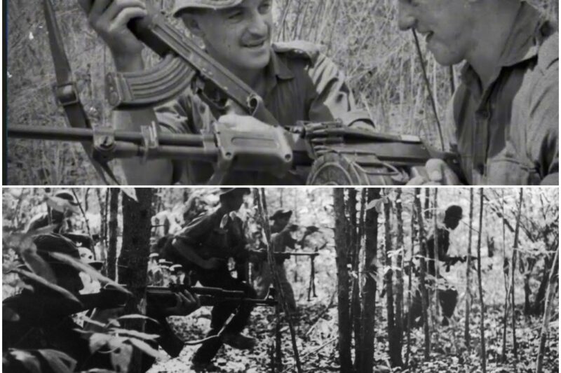 NVA Trackers Found Their Own Scout’s Rifle Hanging in a Tree… MACV-SOG Left It as a Warning D