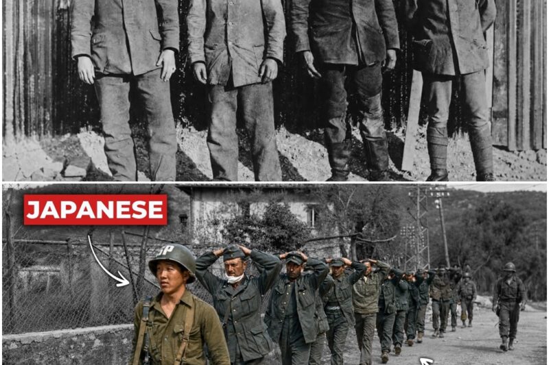 What German Prisoners Said When They Learned the 442nd Was Japanese American D