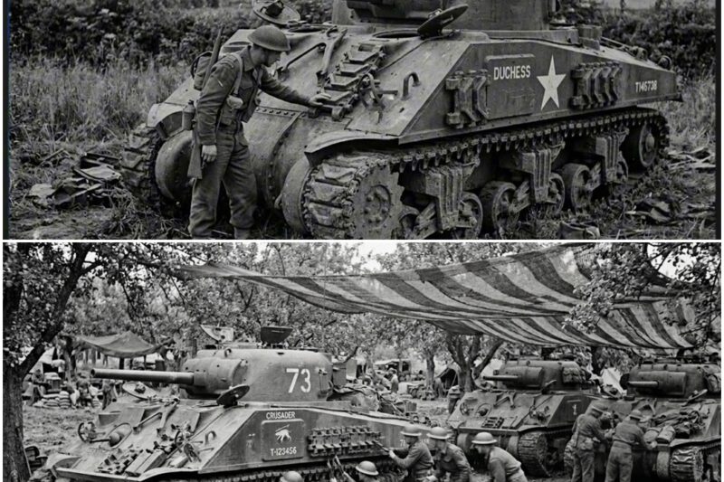 British Engineers Welded Spare Track Links Onto Shermans – Germans Thought They Were New Tanks D