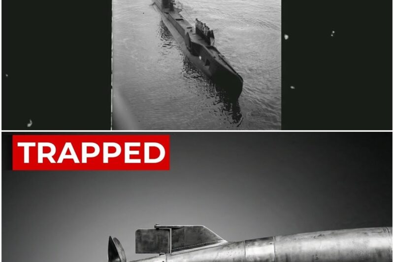 The ‘Besieged’ British Submarines That Strangled Rommel—1,000 Miles Inside Enemy Waters D