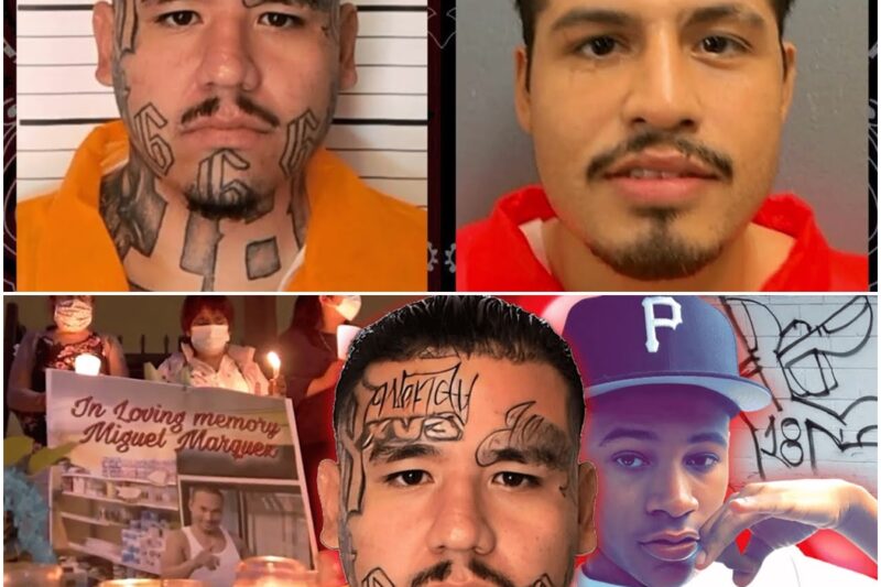18th Street Gang Members Commit Extortion And Murder: The “Tax Collector” Case D
