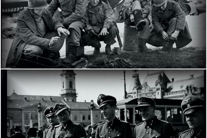 What the SS Said After Facing the 101st Airborne D