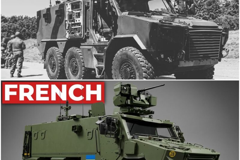 Why This ‘Cheap’ French Armoured Truck Became the Vehicle 3 NATO Nations All Chose D