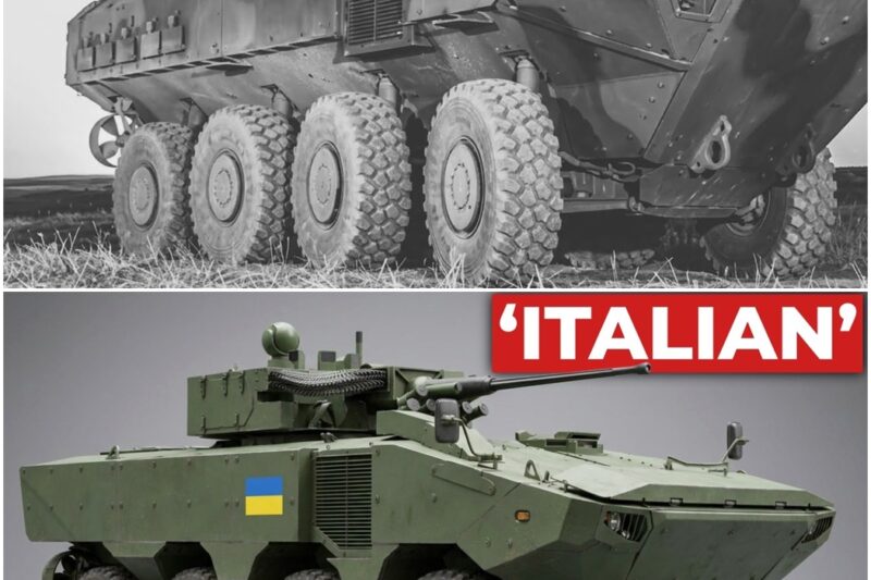 The ‘Foreign’ Vehicle That Beat Every American Competitor and Replaced the US Marine Corps AAV D