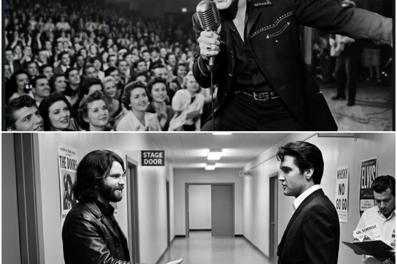 Elvis Presley Refused To Shake Jim Morrison’s Hand — What Jim Did Next Changed Rock History Forever D