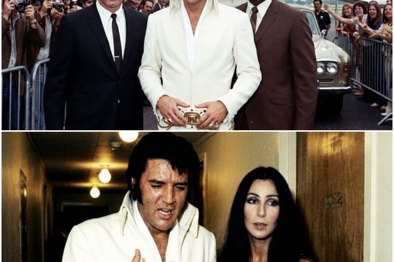 Cher Saw Elvis Drop the Smile — What He Confessed Stayed Hidden for Years D