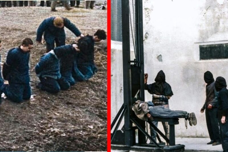 How Long Did a Person Stay Alive After Being Guillotined? JJ
