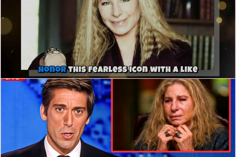What Happened to Barbra Streisand at 84 – Try Not to CRY When You See This 