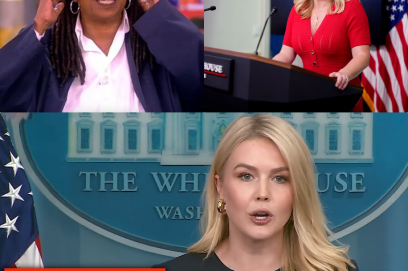 The $800 Million Reckoning: How Karoline Leavitt’s Historic Lawsuit is Dismantling The View and Reshaping Media Accountability
