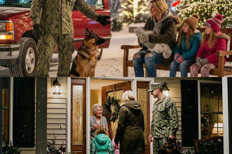 Come With Me…” the Ex-Navy SEAL Said — After Finding the Widow and Her Kids Alone on Christmas Night