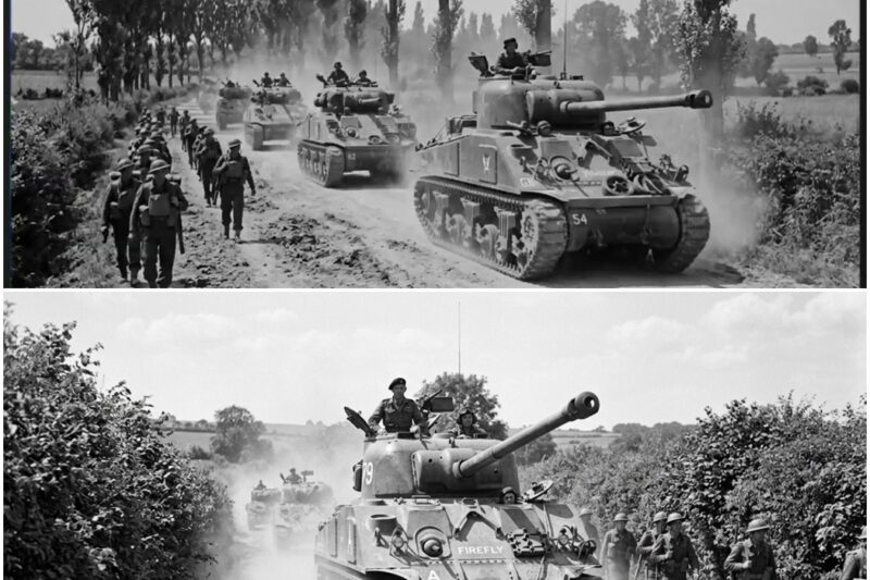 The British Trick That Turned the Sherman Firefly Into a Tiger Killer in Just Seconds D
