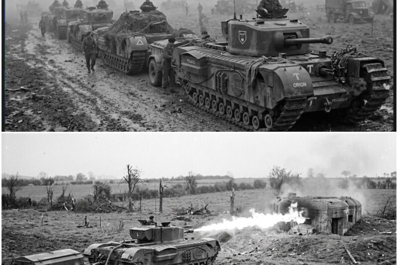 The British Trick That Turned the Churchill Crocodile Into a Bunker Killer in Just Seconds D