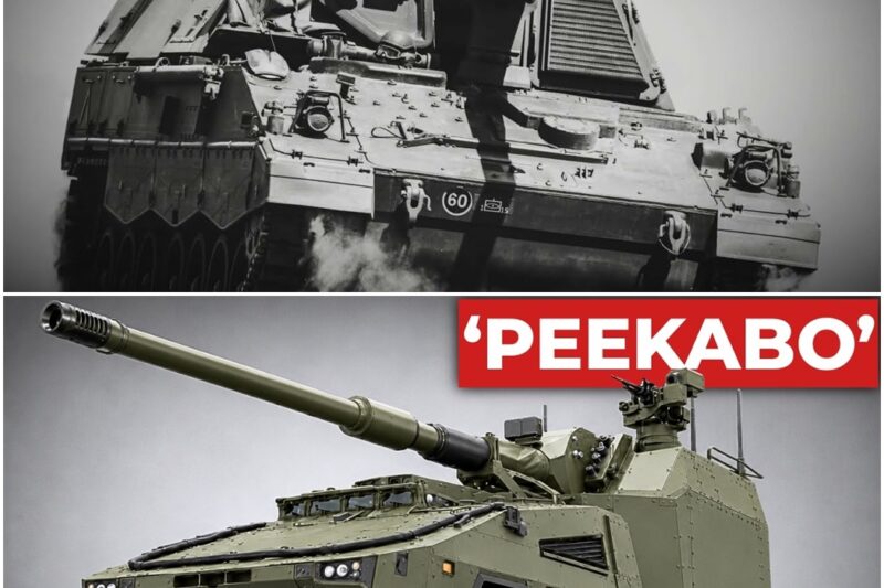 Why Britain Gave Ukraine Every Big Gun It Owned — Then Bought A ‘German’ Robot To Replace Them D