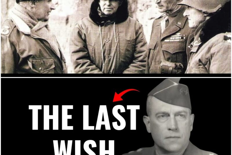 The Commander Who Should’ve Been America’s Tank Legend D